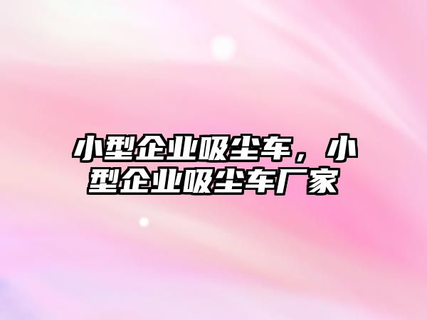 小型企業(yè)吸塵車，小型企業(yè)吸塵車廠家