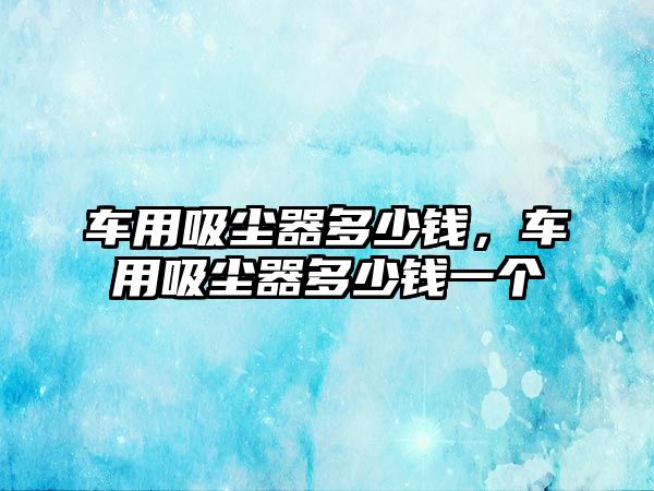 車用吸塵器多少錢，車用吸塵器多少錢一個