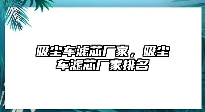 吸塵車濾芯廠家，吸塵車濾芯廠家排名