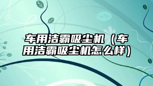 車用潔霸吸塵機（車用潔霸吸塵機怎么樣）