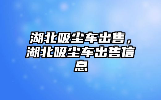 湖北吸塵車出售，湖北吸塵車出售信息