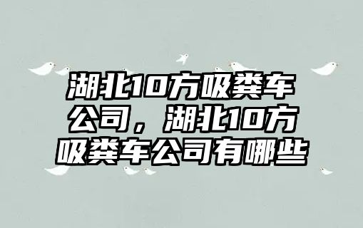 湖北10方吸糞車公司，湖北10方吸糞車公司有哪些