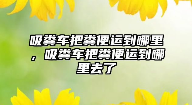 吸糞車把糞便運(yùn)到哪里，吸糞車把糞便運(yùn)到哪里去了