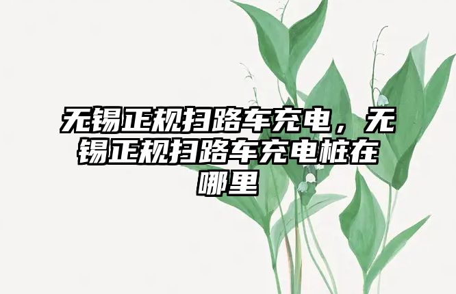 無錫正規掃路車充電，無錫正規掃路車充電樁在哪里