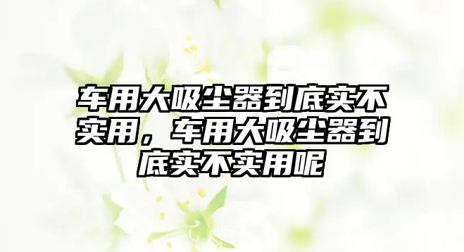 車用大吸塵器到底實不實用，車用大吸塵器到底實不實用呢