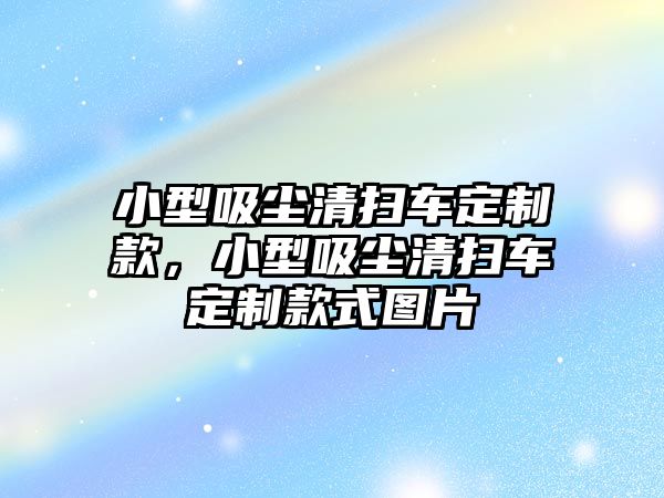 小型吸塵清掃車定制款，小型吸塵清掃車定制款式圖片