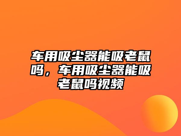 車用吸塵器能吸老鼠嗎，車用吸塵器能吸老鼠嗎視頻