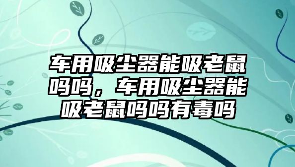 車用吸塵器能吸老鼠嗎嗎，車用吸塵器能吸老鼠嗎嗎有毒嗎