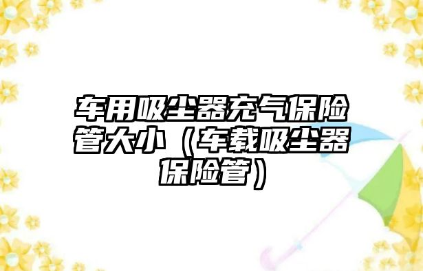 車用吸塵器充氣保險管大小（車載吸塵器保險管）