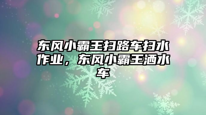 東風小霸王掃路車掃水作業，東風小霸王灑水車