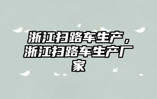 浙江掃路車生產，浙江掃路車生產廠家