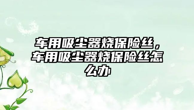 車用吸塵器燒保險絲，車用吸塵器燒保險絲怎么辦