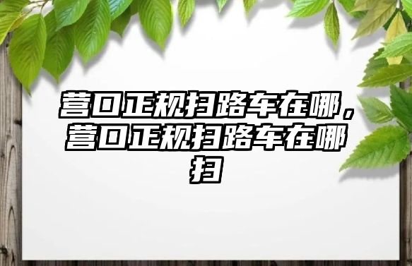 營口正規掃路車在哪，營口正規掃路車在哪掃