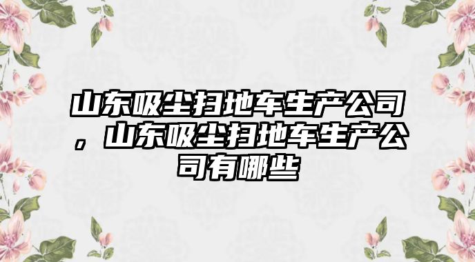 山東吸塵掃地車生產公司，山東吸塵掃地車生產公司有哪些