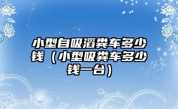 小型自吸滔糞車多少錢（小型吸糞車多少錢一臺）