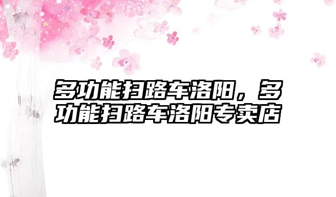 多功能掃路車洛陽，多功能掃路車洛陽專賣店