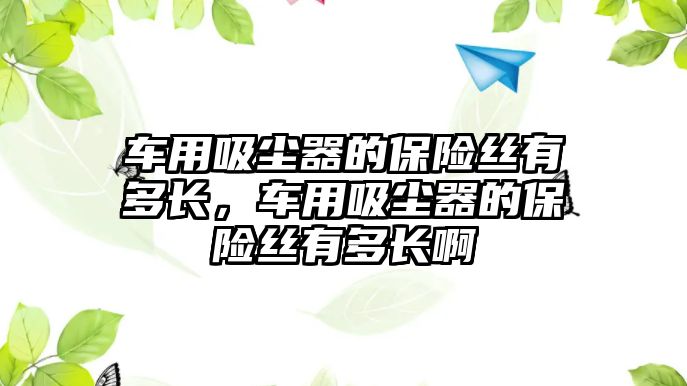 車用吸塵器的保險絲有多長，車用吸塵器的保險絲有多長啊