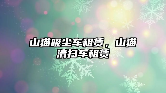 山貓吸塵車租賃，山貓清掃車租賃