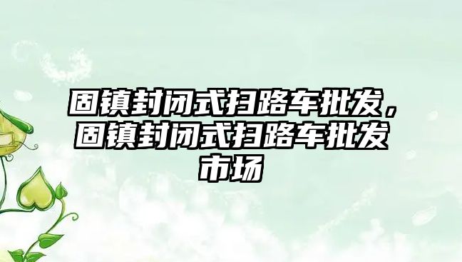 固鎮封閉式掃路車批發，固鎮封閉式掃路車批發市場