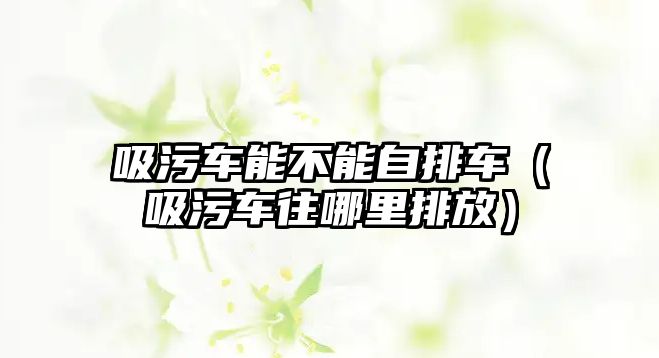 吸污車能不能自排車（吸污車往哪里排放）