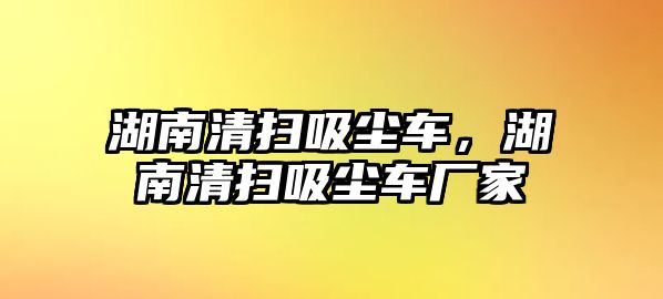 湖南清掃吸塵車，湖南清掃吸塵車廠家