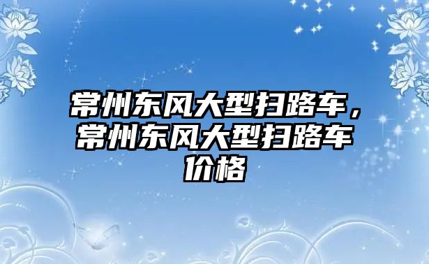 常州東風(fēng)大型掃路車，常州東風(fēng)大型掃路車價(jià)格