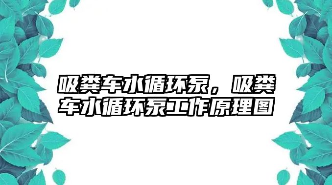 吸糞車水循環泵，吸糞車水循環泵工作原理圖