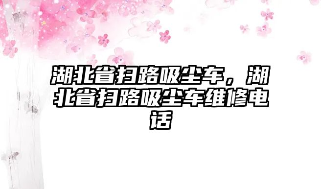 湖北省掃路吸塵車，湖北省掃路吸塵車維修電話