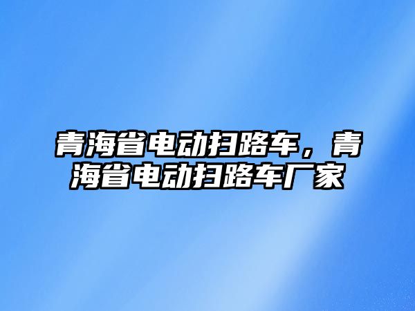 青海省電動掃路車，青海省電動掃路車廠家