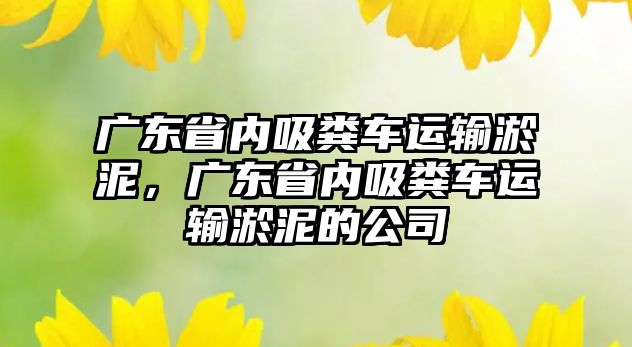 廣東省內吸糞車運輸淤泥，廣東省內吸糞車運輸淤泥的公司