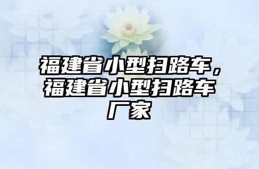 福建省小型掃路車，福建省小型掃路車廠家