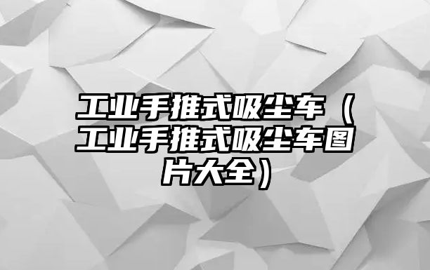 工業手推式吸塵車（工業手推式吸塵車圖片大全）