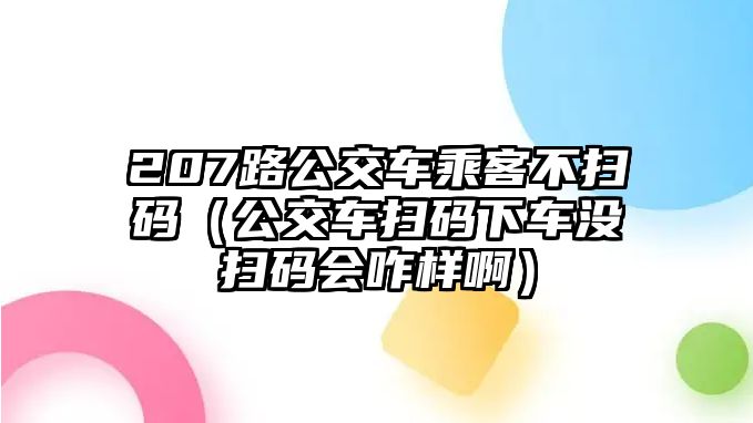 207路公交車乘客不掃碼（公交車掃碼下車沒掃碼會咋樣啊）