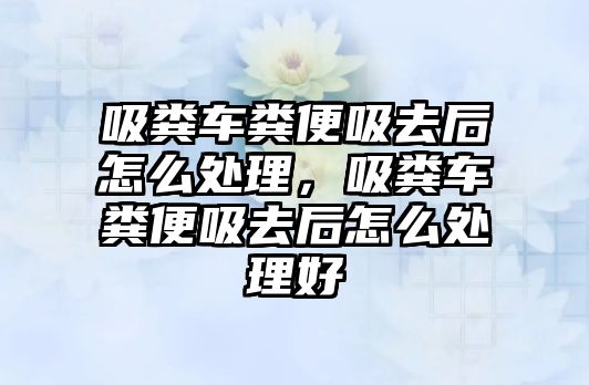 吸糞車糞便吸去后怎么處理，吸糞車糞便吸去后怎么處理好