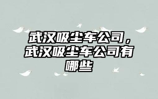 武漢吸塵車公司，武漢吸塵車公司有哪些