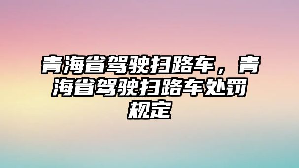 青海省駕駛掃路車，青海省駕駛掃路車處罰規定