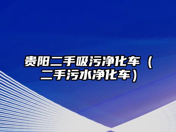 貴陽二手吸污凈化車（二手污水凈化車）