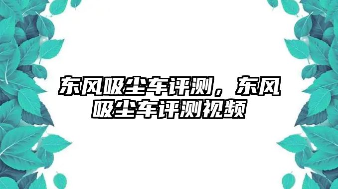 東風(fēng)吸塵車評測，東風(fēng)吸塵車評測視頻