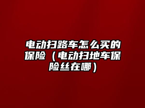 電動掃路車怎么買的保險（電動掃地車保險絲在哪）