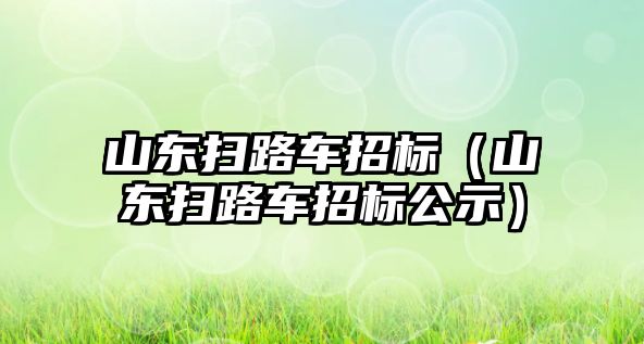 山東掃路車招標（山東掃路車招標公示）