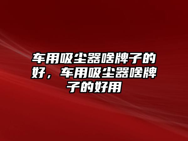 車用吸塵器啥牌子的好，車用吸塵器啥牌子的好用