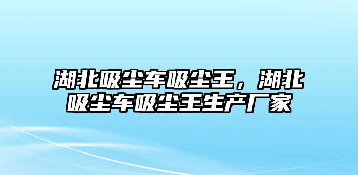 湖北吸塵車吸塵王，湖北吸塵車吸塵王生產廠家