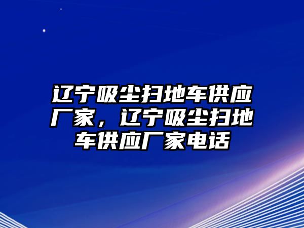 遼寧吸塵掃地車供應廠家，遼寧吸塵掃地車供應廠家電話