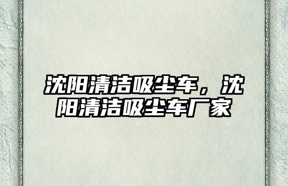 沈陽清潔吸塵車，沈陽清潔吸塵車廠家