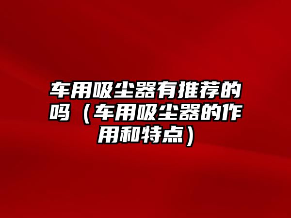 車用吸塵器有推薦的嗎（車用吸塵器的作用和特點）