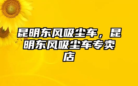 昆明東風吸塵車，昆明東風吸塵車專賣店