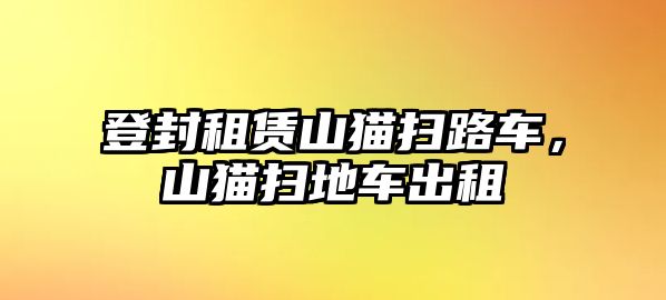 登封租賃山貓掃路車，山貓掃地車出租