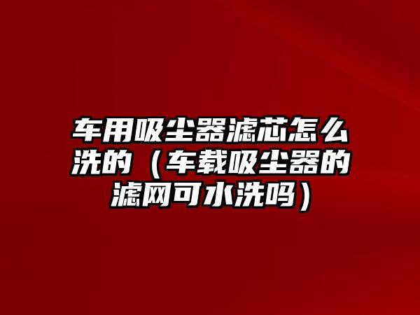 車用吸塵器濾芯怎么洗的（車載吸塵器的濾網可水洗嗎）