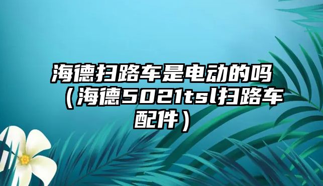 海德掃路車是電動的嗎（海德5021tsl掃路車配件）