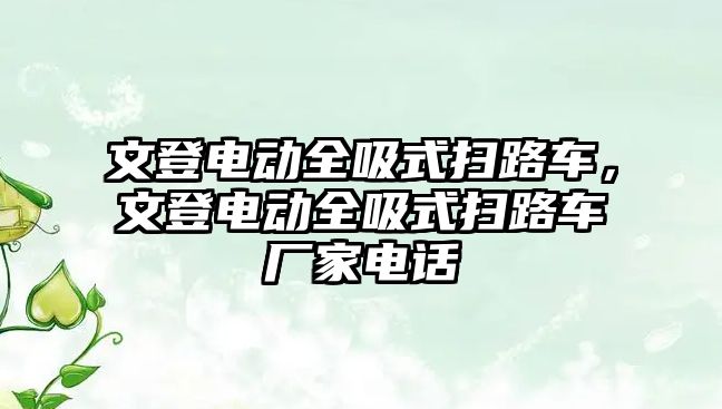 文登電動全吸式掃路車，文登電動全吸式掃路車廠家電話